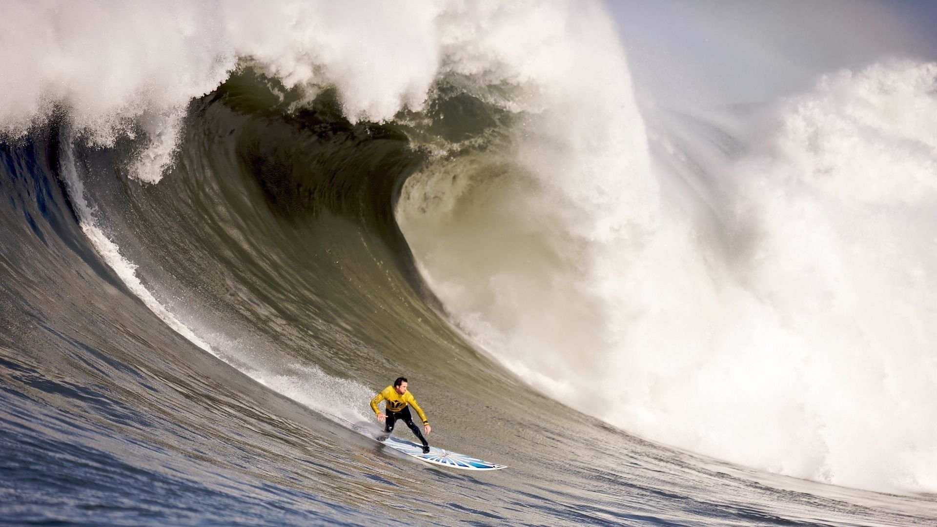 年度焦点之战之夜,米切尔,硬仗之王