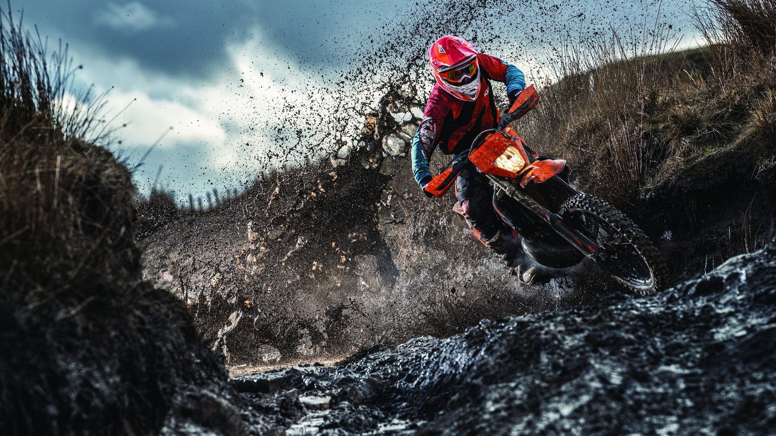 F1引擎轰鸣中的篮球教科书，杰伦·格林如何用街球智慧点亮不眠夜