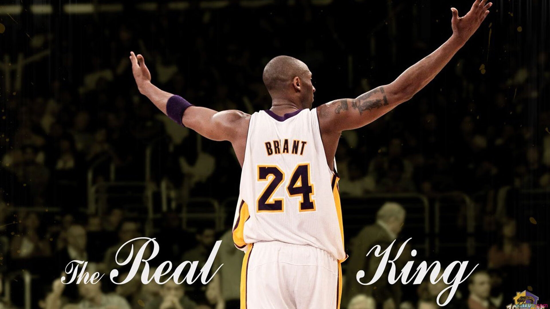 F1年度争冠之夜,伊布个人能力完全展现,当赛道轰鸣遇见绿茵孤狼