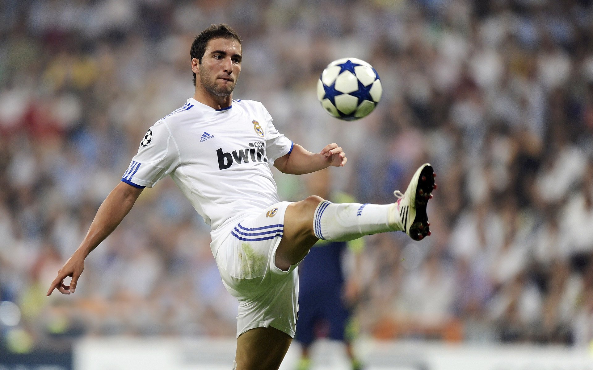 哈利伯顿的魔法，当控卫之神在印第安纳苏醒，掘金的王座开始摇晃